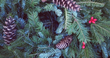 wreath by bkgreenmarkets on Instagram