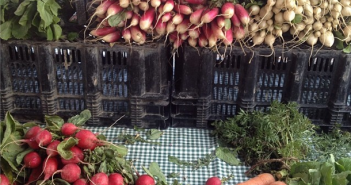 Radishes at Park Slope Farmers Market by juliablanter on Instagram