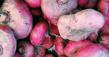 Turnips by bkgreenmarkets on Instagram