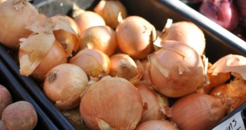 Greenmarket Onions