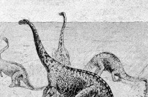 (crop) Dinosaurs via wikimedia