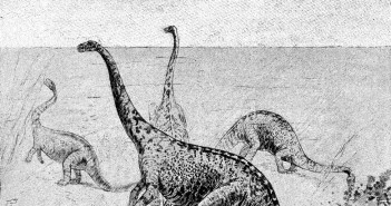 (crop) Dinosaurs via wikimedia