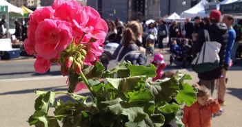 Spring Flowers via bkgreenmarkets on Instagram