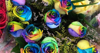 Trippy roses by etymologyjewelry on Instagram