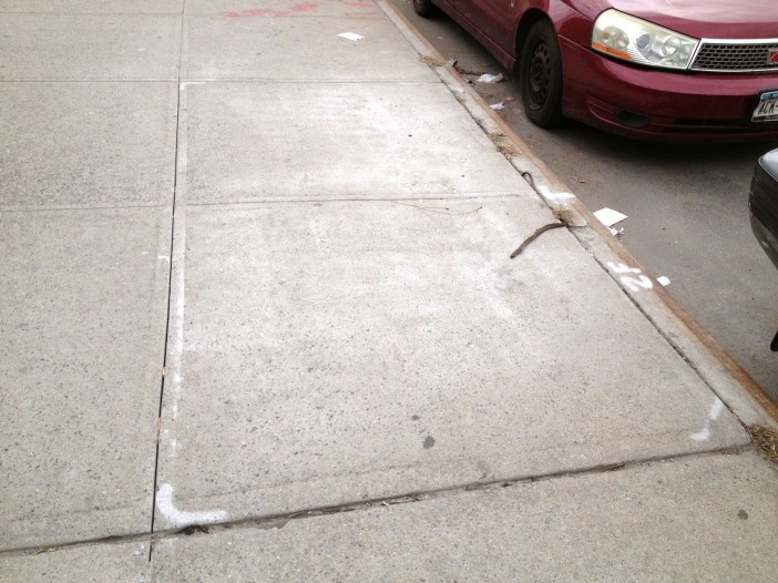 Future Street Tree Pit on 4th Avenue