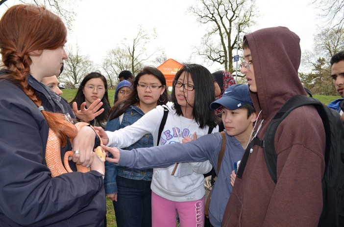 Prospect Park Fair via Prospect Park Alliance on Flickr