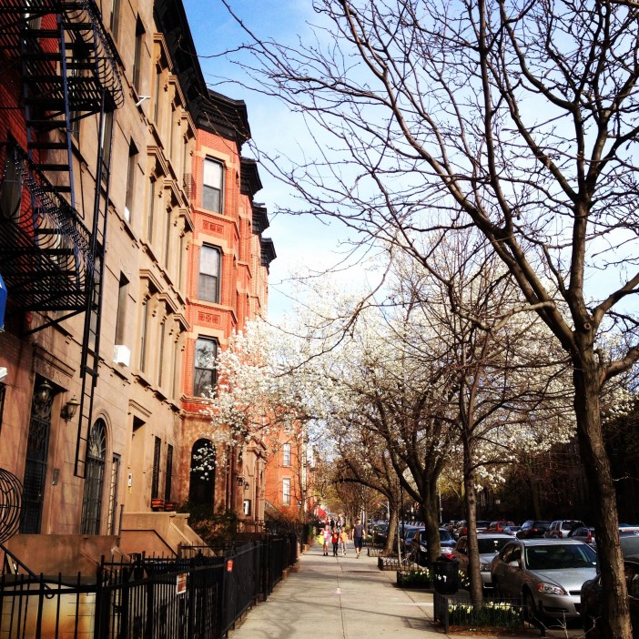 Park Slope Streets: Union Street near 5th Avenue in Spring