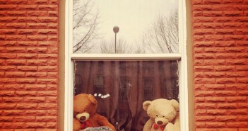 Window Bears